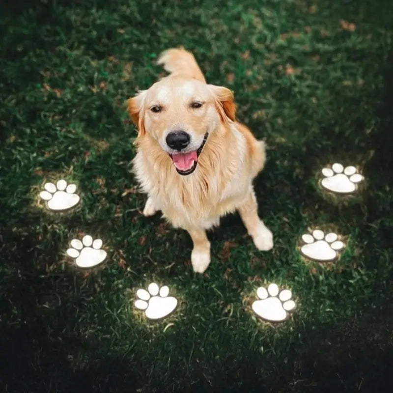 PawGlow - Luz LED Solar para Exteriores Para el Jardín Luces para Patas