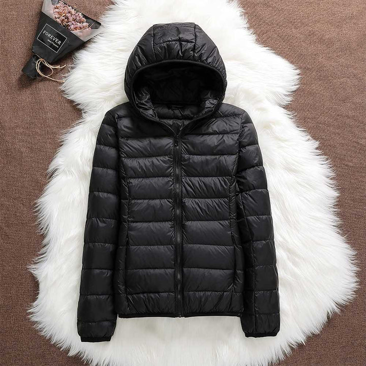 North | Negro